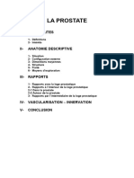 6-ANATOMIE DELA PROSTATE (1).doc poly