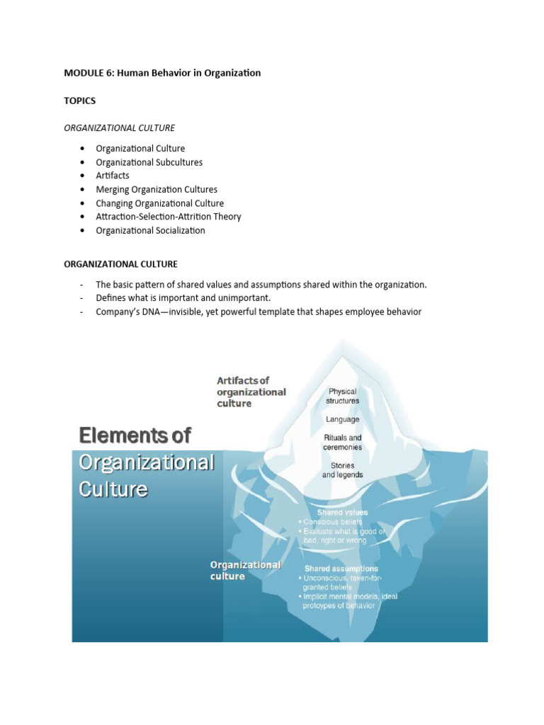 Understanding Organizational Culture Dynamics | PDF | Organizational ...