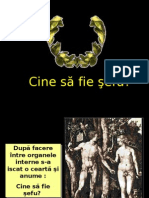 cine e sefu