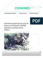 Autorizan Temporada de Caza de Pumas en Patagonia - Medida Argentina Amenaza Fauna Chilena 09-04-2024