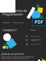 Unidad 7 (Fundamentos de Programación SEM202415)