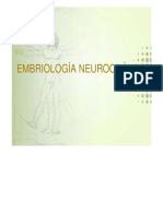 1 - Embriologia Del Neurocraneo