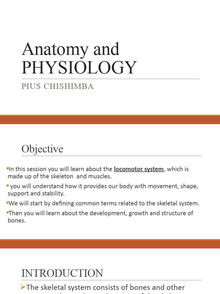 Anatomy and Physiology | PDF | Bone | Osteoblast