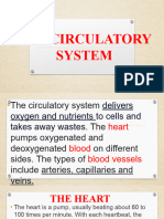 The Circulatory System - PPT