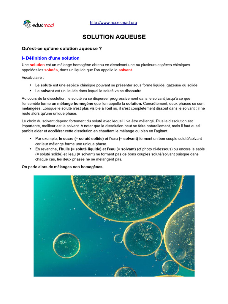 Solution Aqueuse Ionique | PDF | Ion | Solvant