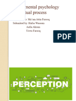 Perceptual-process Copy (1)