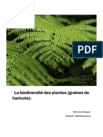 La Biodiversité Des Plantes (Graines de Haricots) :: Reference:Google