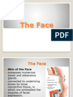 Lec 11 - The Face
