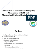 1 Inroduction to PHEM