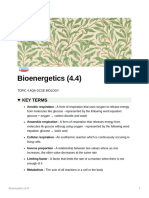 Bioenergetics (4.4) : Key Terms