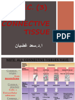 Lect. 4 Connective Tissue