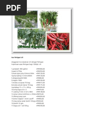 Cili Fertigasi Pdf