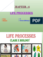 LIFE PROCESSES.ppt_removed