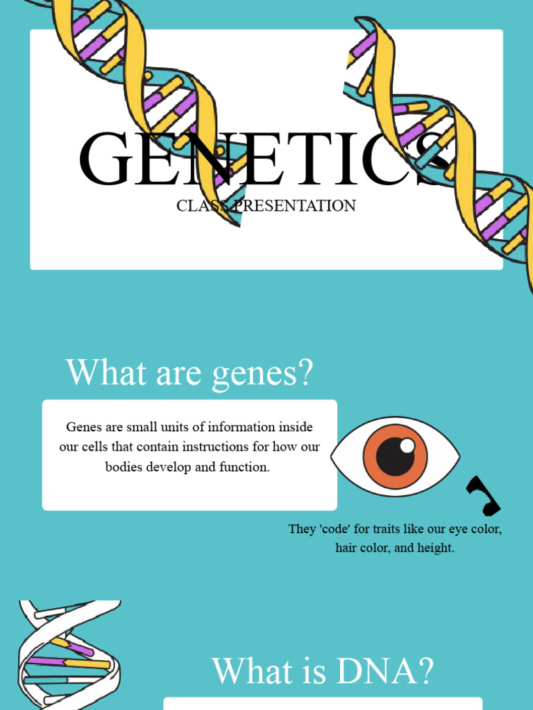 Understanding Genes and DNA Basics | PDF