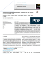 Human Health Risk Assessment of Arsenic, Cadmium, Lead, and Mercury Ingestion From Baby Foods