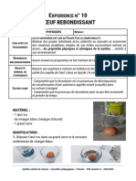 10-L'oeuf Rebondissant