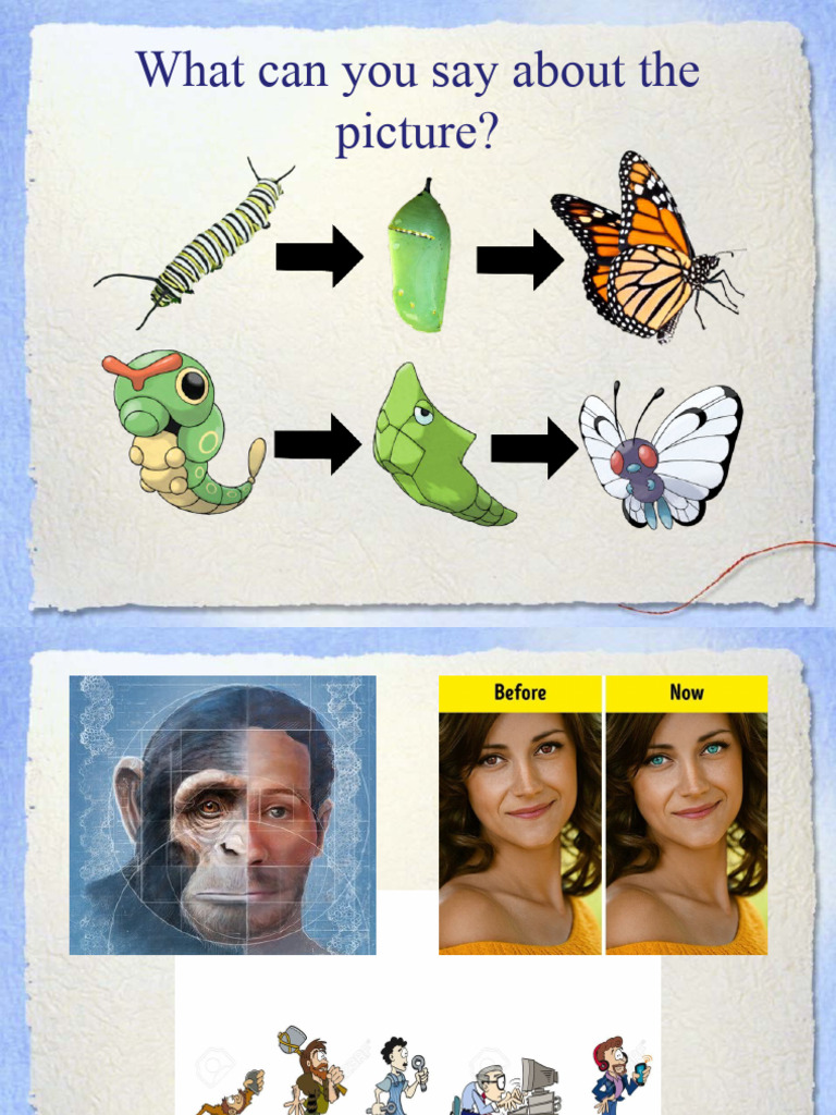 Evolutionary Mechanisms and Theories | PDF | Natural Selection | Evolution