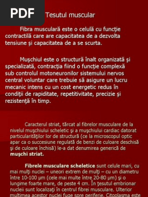 Curs V Fibra Musculara