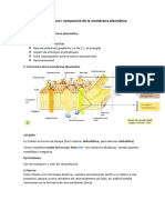 T2. Estructura I Composició de La Membrana Plasmàtica