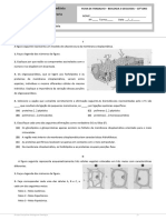 bio ficha unidade 2