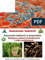 3. Znaczenie bakterii