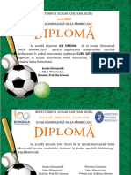 Diploma Sport