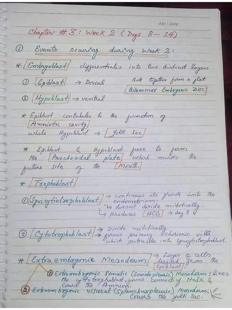 Embryology PDF