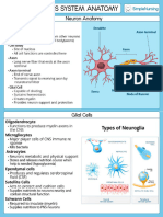 Nervous System 2