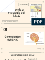 Anatomía y Fisiología Del S.N.C: Iii Semestre