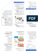 Basic Concepts of Polysomnographic Channels