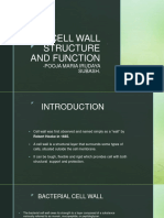 Cell Wall Structure and Function - 240301 - 153022
