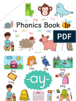 Phonics Control Pages