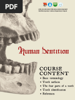 Dental Anatomy and Types of Teeth | PDF | Dental Anatomy | Tooth