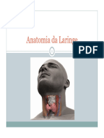 1 - Anatomia da Laringe reduzido [Modo de Compatibilidade]