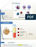 Les Globules Blancs Granulocytes
