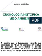 historico_ambiental_CRONOLOGIA castella