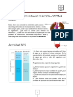 Retroalimentacion Sistema Renal 8°a 8°b Biologia