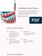 Morfologi Dentisi Primer