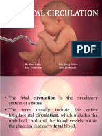 Fetalcirculation 181202080431 1