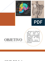 Unidad 2 Osteologia