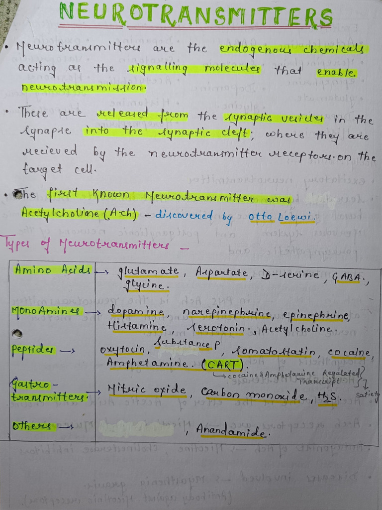 NEUROTRANSMITTERS TYPES AND FUNCTIONS PDF visual data 4