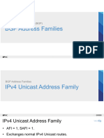 d1 s2 BGP Address Families