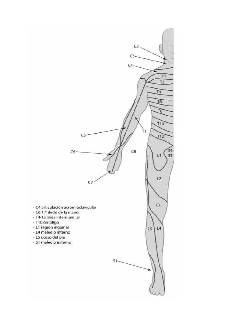 Metameras | PDF