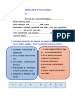 Comunicarea Interculturala