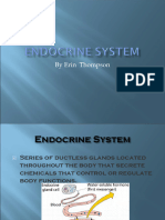 M3 Endocrine system. Updated