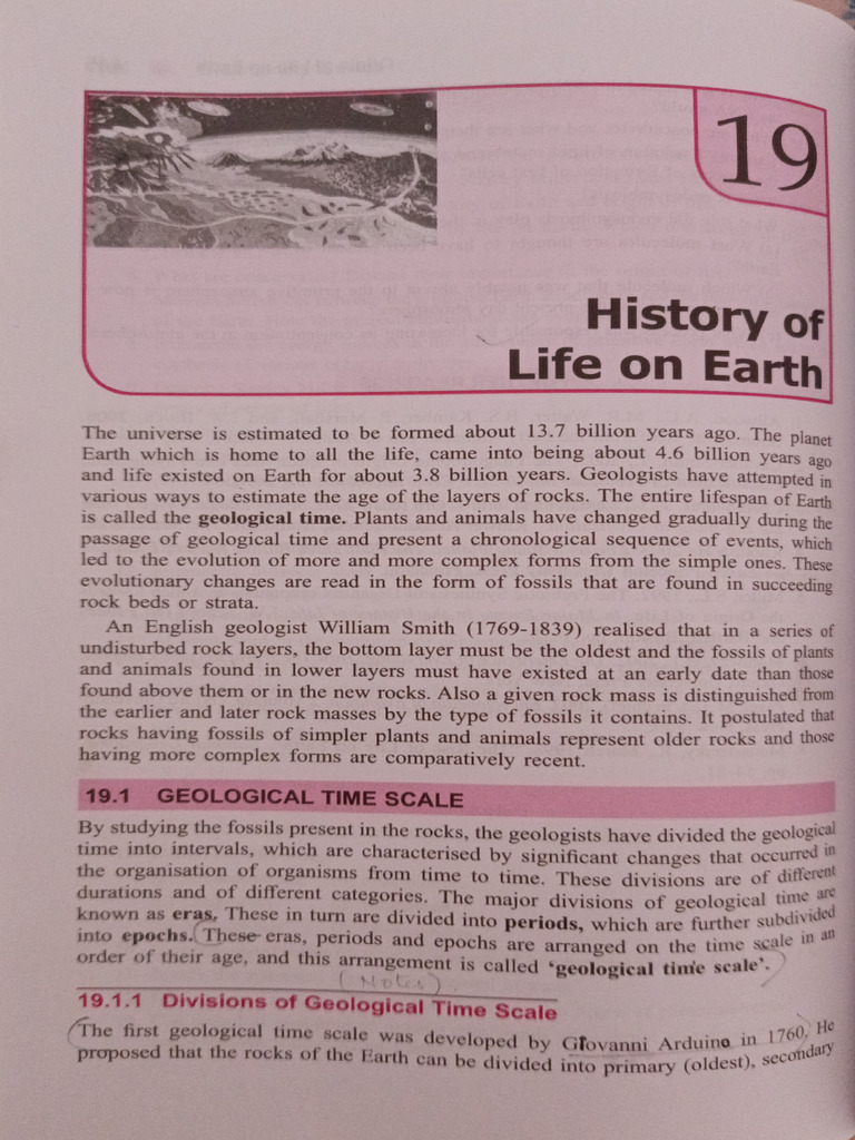 History of Life On Earth 1 | PDF | Geologic Time Scale | Stratigraphy