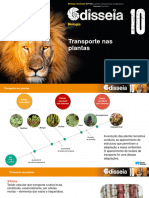 odis10_ppt_transporte_plantas