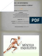 Sistema Musculo Esquelético