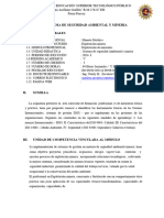 Sílabo de Sistema de Seguridad Ambiental y Minera 2024