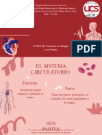 The Circulatory System Education Presentation in 0 Hand Drawn Lightly Text - 20240318 - 082242 - 0000